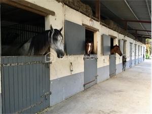 propriete equestre à la vente -   31000  TOULOUSE, surface 131 m2 vente propriete equestre - UBI431267477